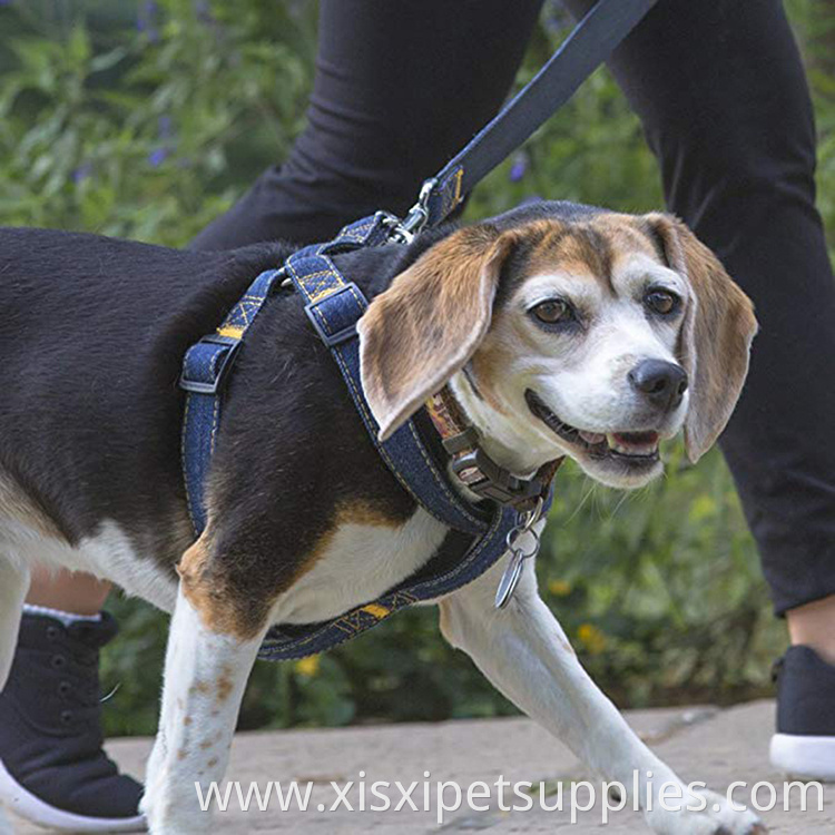 Durable Tilt Denim Dog Harness